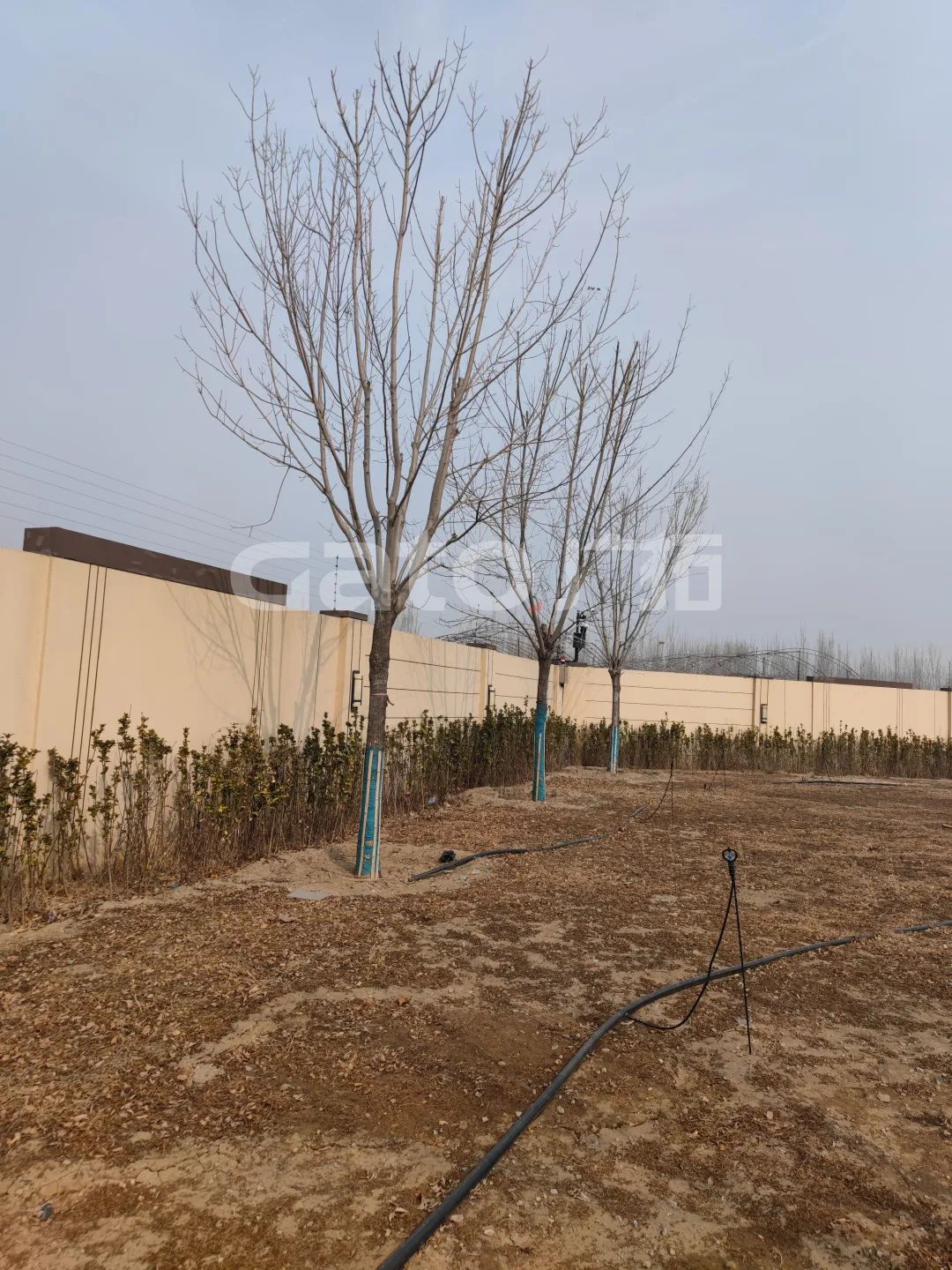 國家建筑節(jié)能技術國際創(chuàng)新園投產，廣拓G5s守護周界安全(圖8)