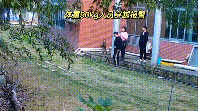 用數(shù)據(jù)說話，風(fēng)雨小動物不誤報！(圖4)