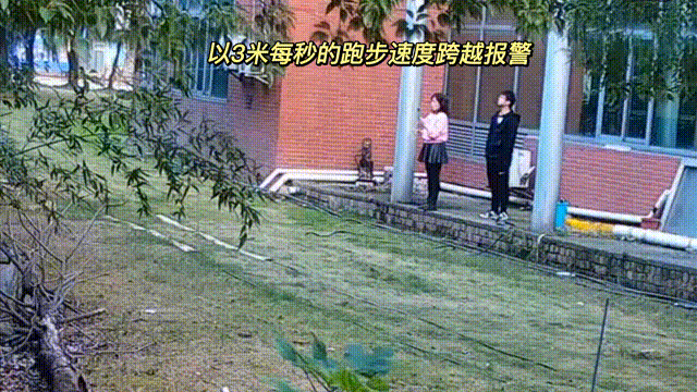 用數(shù)據(jù)說話，風(fēng)雨小動物不誤報！(圖8)