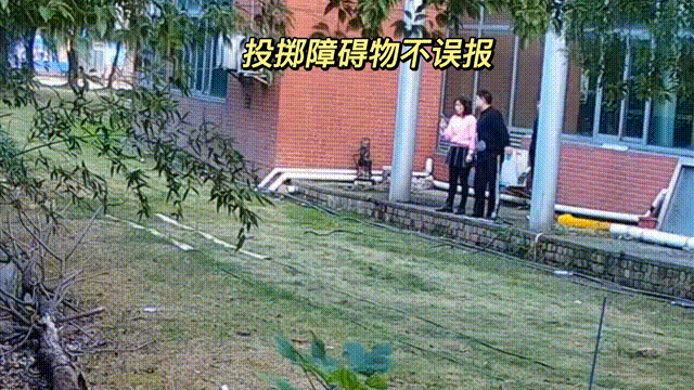 用數(shù)據(jù)說話，風(fēng)雨小動物不誤報！(圖11)
