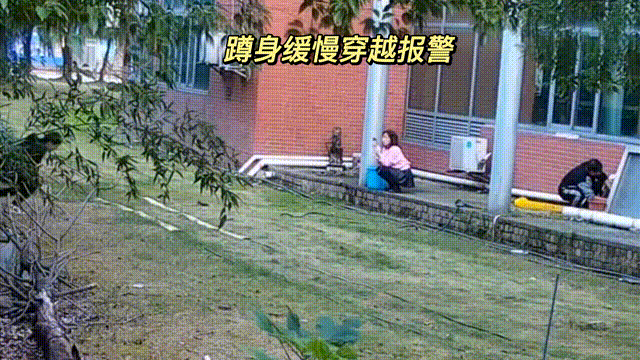 用數(shù)據(jù)說話，風(fēng)雨小動物不誤報！(圖9)