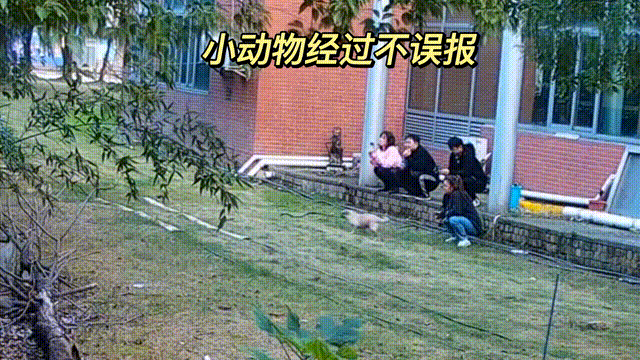 用數(shù)據(jù)說話，風(fēng)雨小動物不誤報！(圖13)