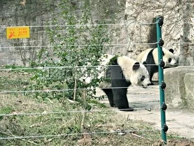 五一出游高峰不必慌，疫情防控神器來幫忙！(圖13)